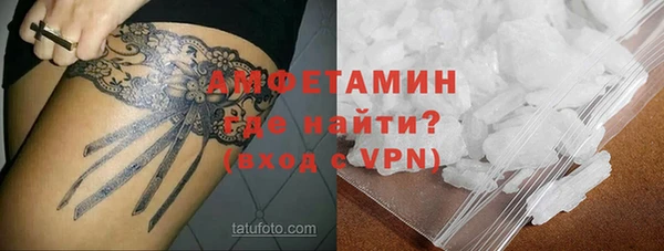 apvp Гусев