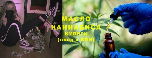 индика Наволоки