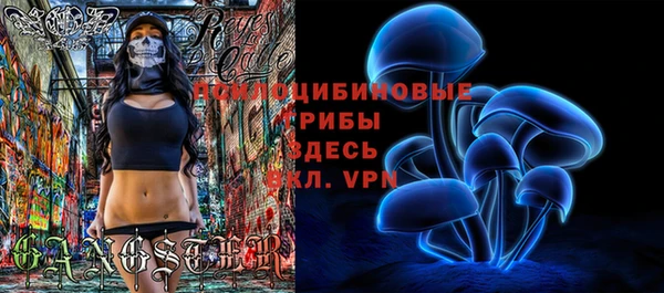 индика Наволоки