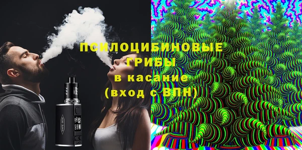 индика Наволоки