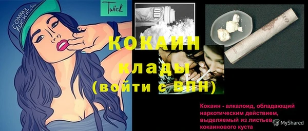 индика Наволоки