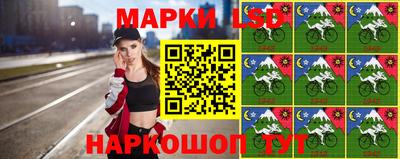индика Шебекино