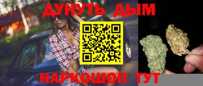 индика Шебекино