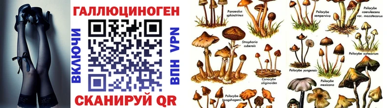 Галлюциногенные грибы ЛСД  Александров 