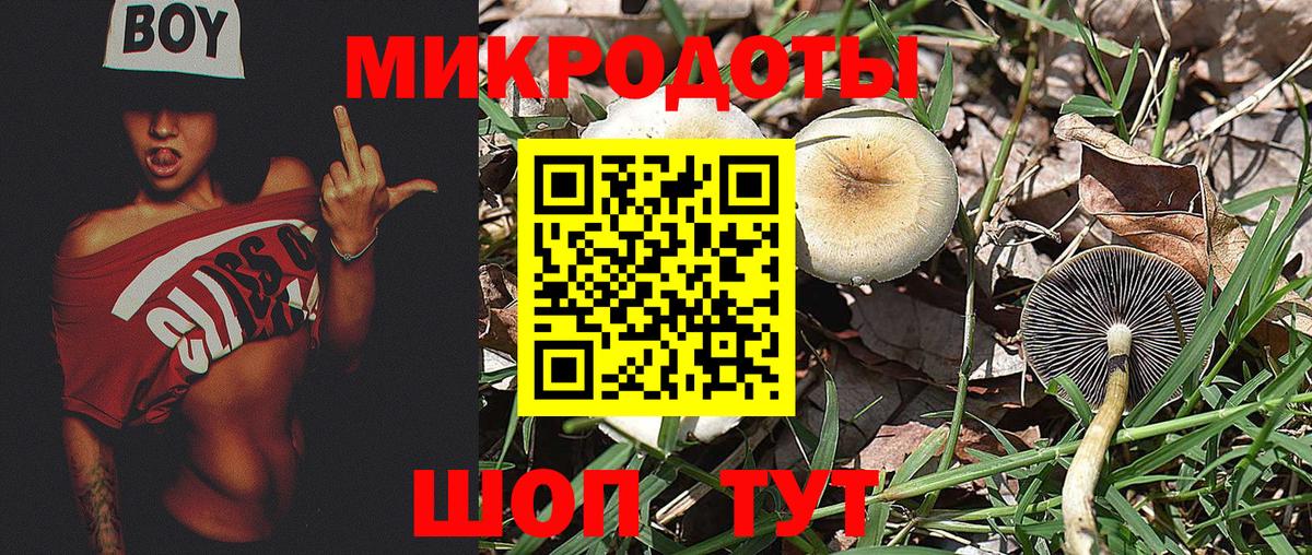 Александров  Галлюциногенные грибы мухоморы  Вход с VPN 