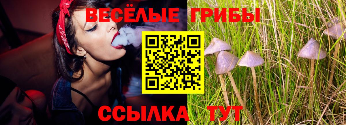 Галлюциногенные грибы прущие грибы Александров